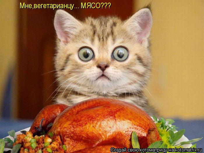 Котоматрица: Мне,вегетарианцу... МЯСО???