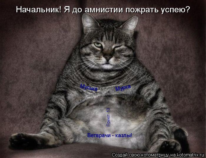 Котоматрица: Мурка Муська Ветврачи - казлы! Приют №13 Начальник! Я до амнистии пожрать успею?