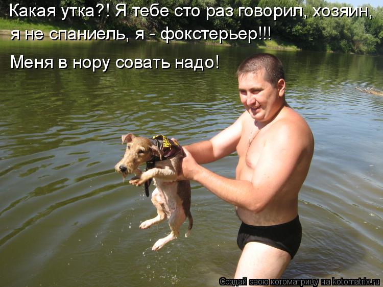 Котоматрица: Какая утка?! Я тебе сто раз говорил, хозяин,  я не спаниель, я - фокстерьер!!! Меня в нору совать надо!