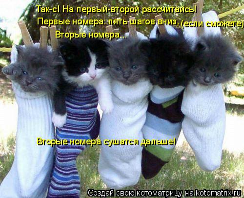 Котоматрица: Так-с! На первый-второй рассчитайсь! Первые номера: пять шагов вниз. Вторые номера... Вторые номера сушатся дальше! (если сможете)