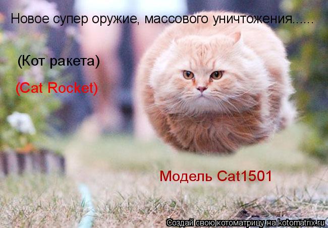 Котоматрица: Новое супер оружие, массового уничтожения...... (Кот ракета) (Cat Rocket) Модель Cat1501