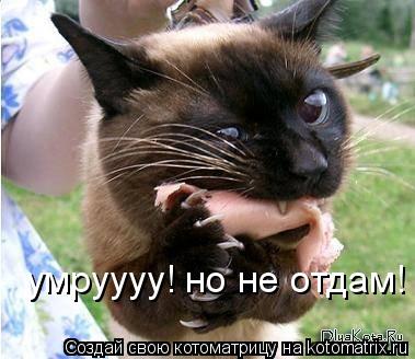 Котоматрица: умруууу! но не отдам!