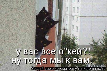 Котоматрица: у вас все о"кей?! ну тогда мы к вам!