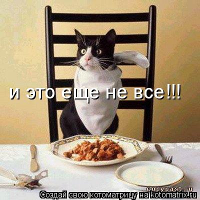 Котоматрица: и это еще не все!!! и это еще не все!!!