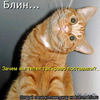 Котоматрица: Блин... Зачем вы телек так криво поставили?...