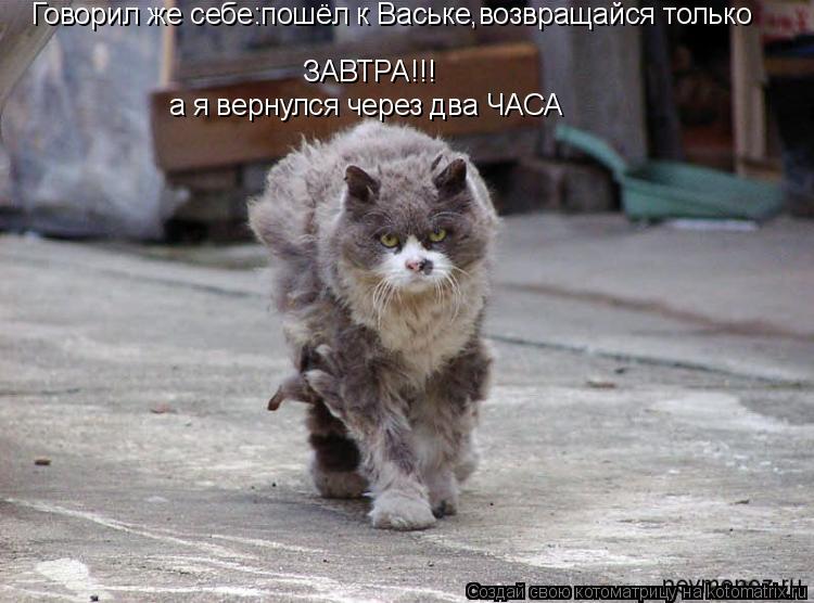 Котоматрица: ЗАВТРА!!! Говорил же себе:пошёл к Ваське,возвращайся только  а я вернулся через два ЧАСА