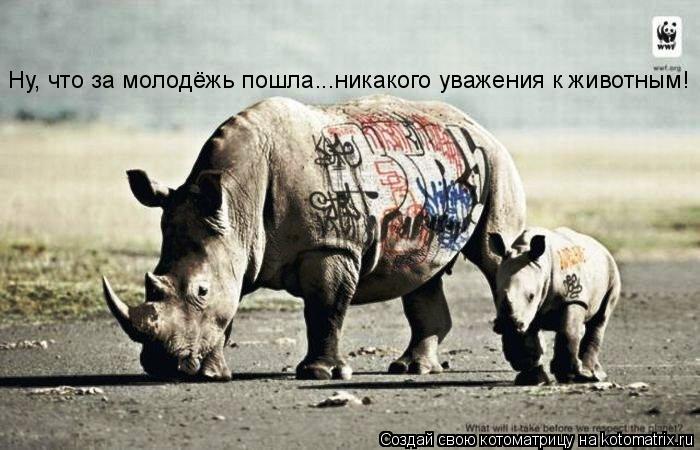 Котоматрица: Ну, что за молодёжь пошла...никакого уважения к животным!