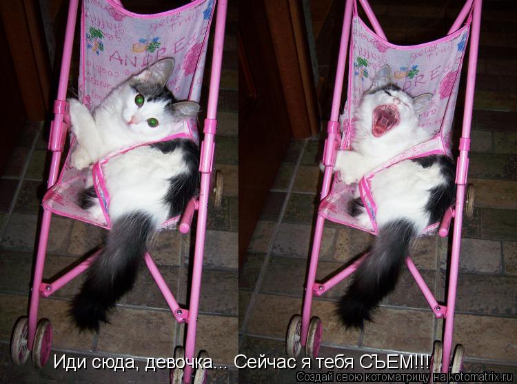 Котоматрица: Иди сюда, девочка... Сейчас я тебя СЪЕМ!!!