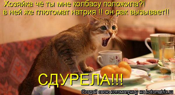 Котоматрица: Хозяйка чё ты мне колбасу положила?!  в ней же глютомат натрия !! он рак вызывает!! СДУРЕЛА!!!