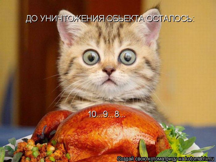 Котоматрица: ДО УНИЧТОЖЕНИЯ ОБЬЕКТА ОСТАЛОСЬ: 10...9...8...