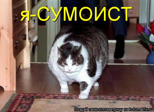 Котоматрица: я-СУМОИСТ