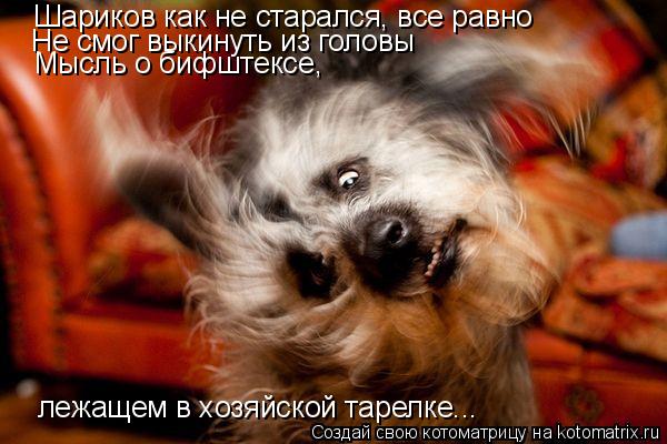 Котоматрица: Шариков как не старался, все равно Не смог выкинуть из головы Мысль о бифштексе,  лежащем в хозяйской тарелке...
