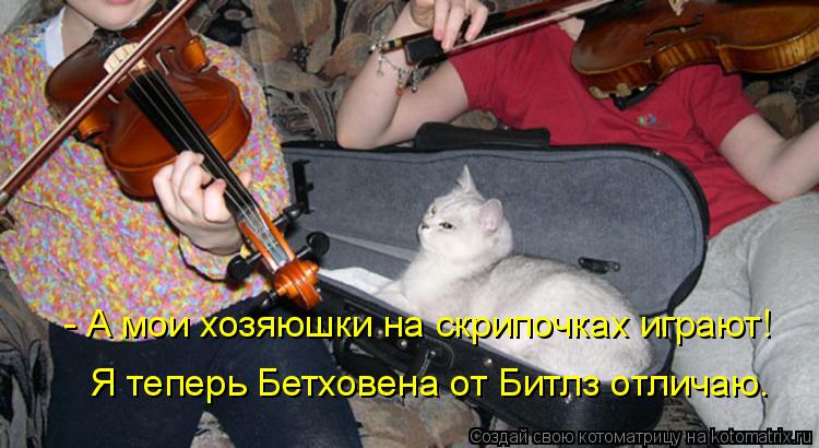 Котоматрица: - А мои хозяюшки на скрипочках играют! Я теперь Бетховена от Битлз отличаю.