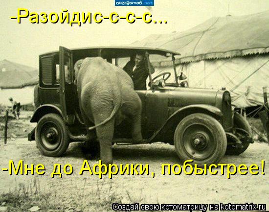 Котоматрица: -Разойдис-с-с-с... -Мне до Африки, побыстрее!