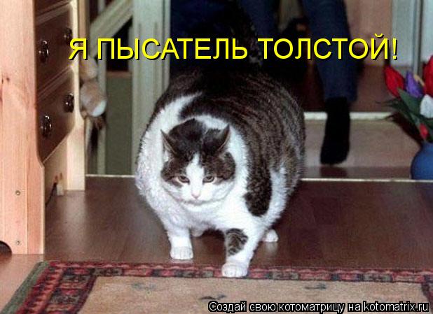 Котоматрица: Я ПЫСАТЕЛЬ ТОЛСТОЙ!