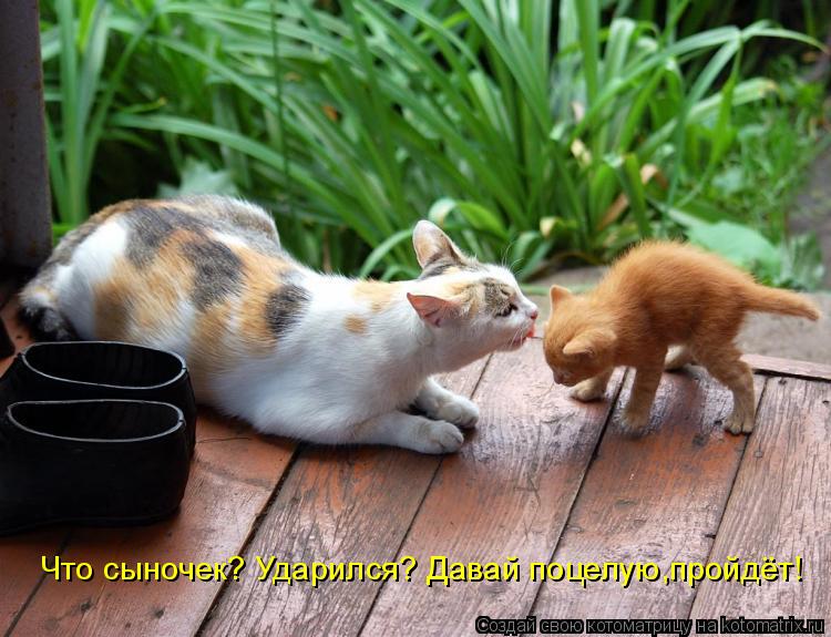 Котоматрица: Что сыночек? Ударился? Давай поцелую,пройдёт!