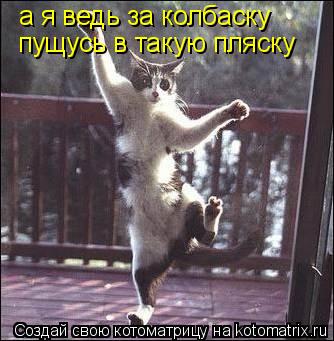 Котоматрица: пущусь в такую пляску  а я ведь за колбаску