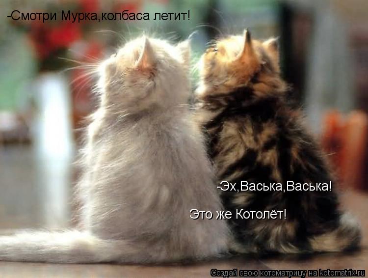 Котоматрица: -Смотри Мурка,колбаса летит! -Эх,Васька,Васька! Это же Котолёт!