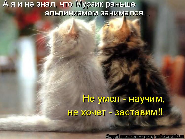 Котоматрица: А я и не знал, что Мурзик раньше альпинизмом занимался... Не умел - научим, не хочет - заставим!!
