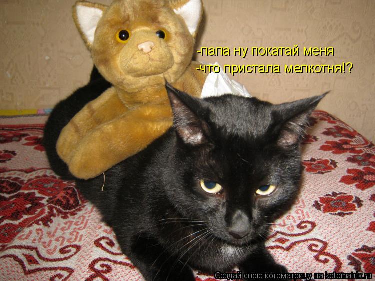 Котоматрица: -папа ну покатай меня -что пристала мелкотня!?