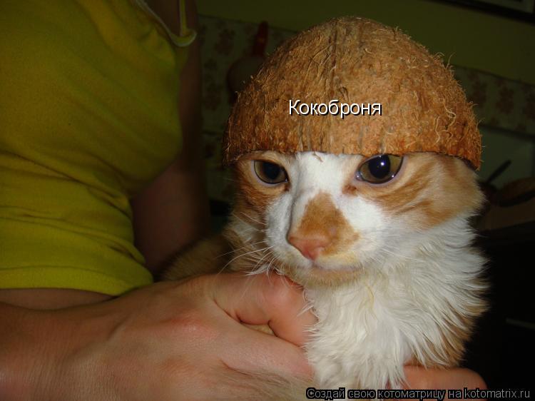 Котоматрица: Кокоброня