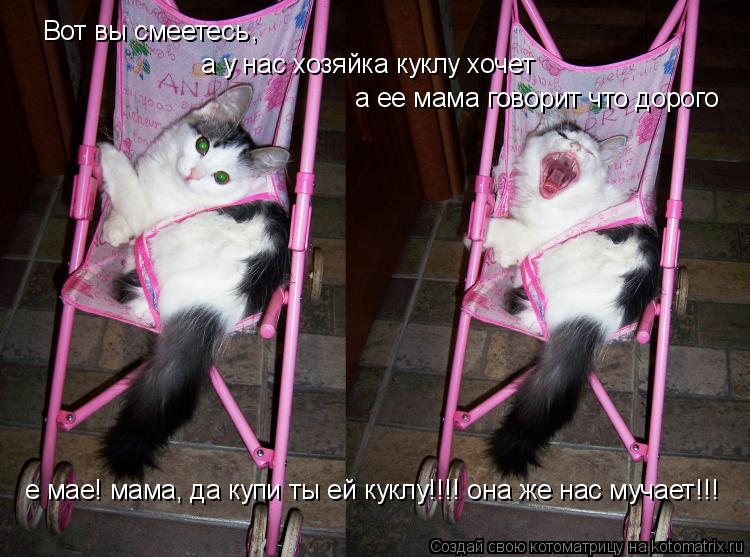 Котоматрица: Вот вы смеетесь , а у нас хозяйка куклу хочет а ее мама говорит что дорого е мае! мама, да купи ты ей куклу!!!! она же нас мучает!!!