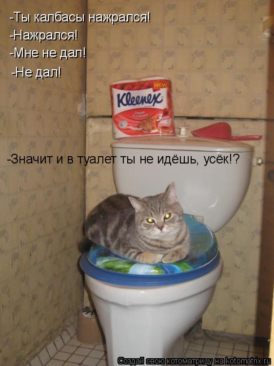 Котоматрица: -Ты калбасы нажрался! -Нажрался! -Мне не дал! -Не дал! -Значит и в туалет ты не идёшь, усёк!?