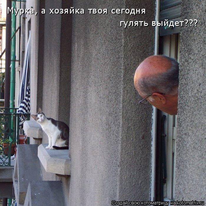 Котоматрица: Мурка, а хозяйка твоя сегодня гулять выйдет???