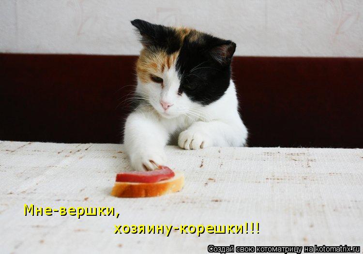 Котоматрица: Мне-вершки, хозяину-корешки!!!