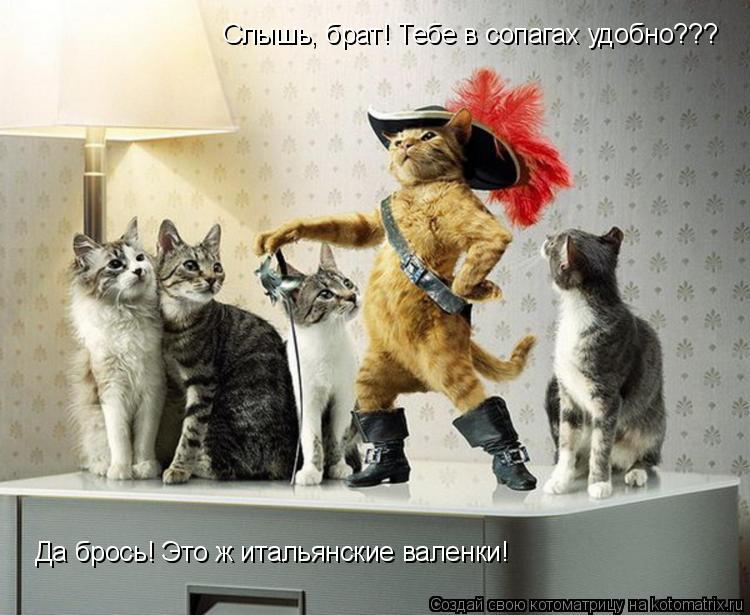 Котоматрица: Слышь, брат! Тебе в сопагах удобно??? Да брось! Это ж итальянские валенки!