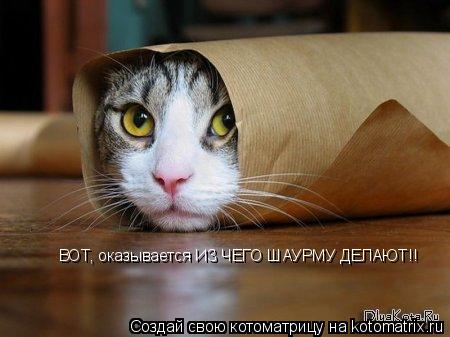 Котоматрица: ВОТ, оказывается ИЗ ЧЕГО ШАУРМУ ДЕЛАЮТ!!