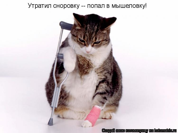 Котоматрица: Утратил сноровку -- попал в мышеловку!