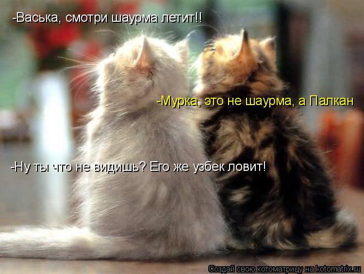 Котоматрица: -Васька, смотри шаурма летит!! -Мурка, это не шаурма, а Палкан -Ну ты что не видишь? Его же узбек ловит!