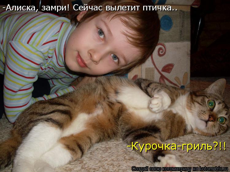 Котоматрица: -Алиска, замри! Сейчас вылетит птичка.. -Курочка-гриль?!!