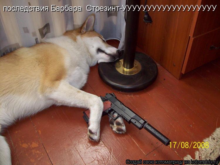Котоматрица: последствия Барбара  Стрезинт-УУУУУУУУУУУУУУУУУУУ