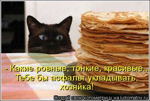- Какие ровные, тонкие, красивые... Тебе бы асфальт укладывать, хозяйка!... Котоматрица: - Какие ровные, тонкие, красивые... Тебе бы асфальт укладывать, хозяйка!