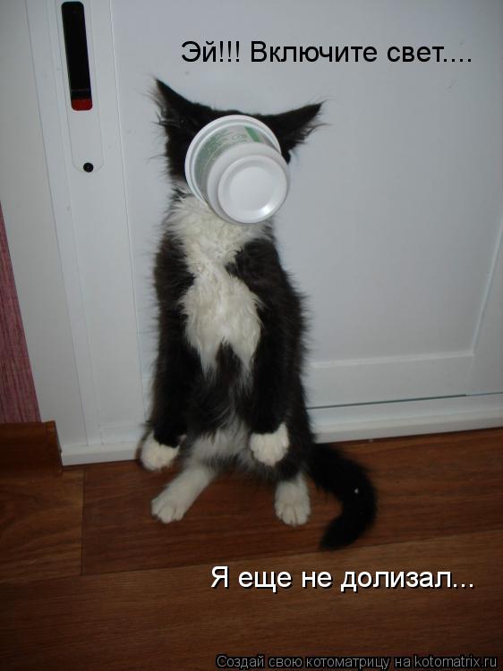 Котоматрица: Эй!!! Включите свет.... Я еще не долизал...