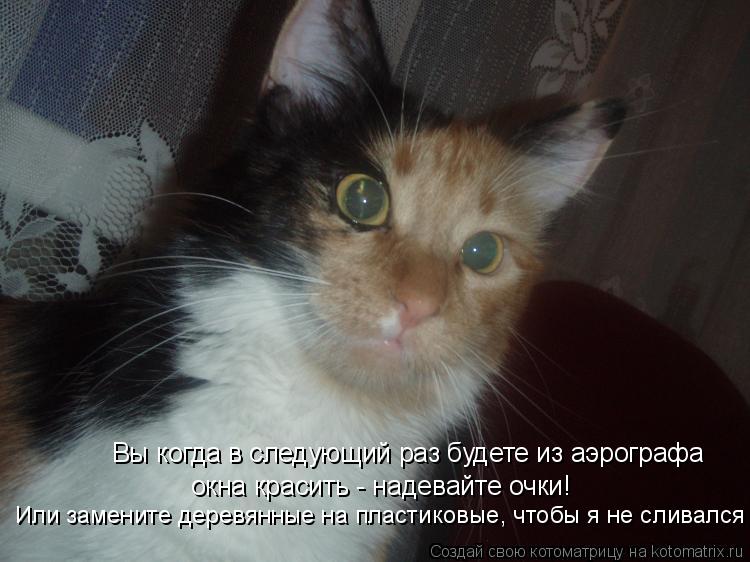 Котоматрица: Вы когда в следующий раз будете из аэрографа Или замените деревянные на пластиковые, чтобы я не сливался окна красить - надевайте очки!