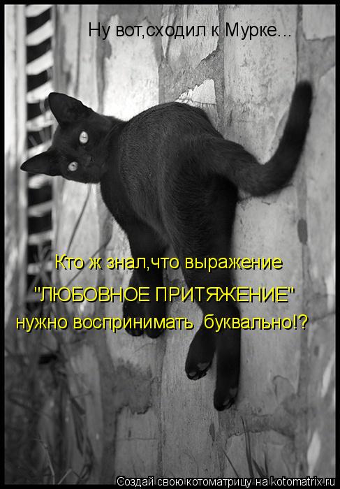 Котоматрица: Ну вот,сходил к Мурке... Кто ж знал,что выражение "ЛЮБОВНОЕ ПРИТЯЖЕНИЕ" нужно воспринимать  буквально!?