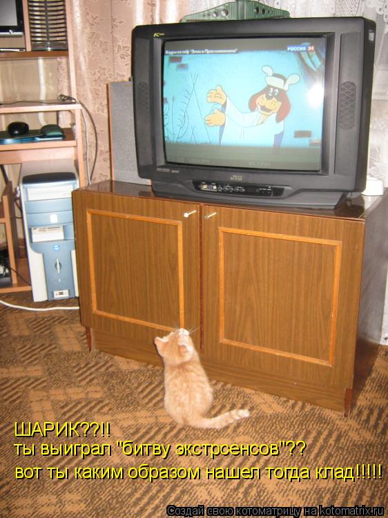 Котоматрица: ШАРИК??!! ты выиграл "битву экстрсенсов"?? вот ты каким образом нашел тогда клад!!!!!