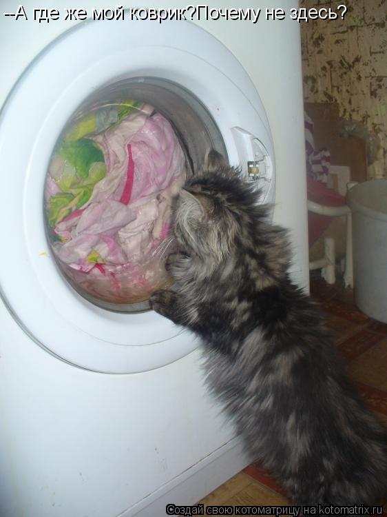 Котоматрица: --А где же мой коврик?Почему не здесь?