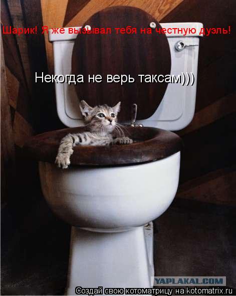 Котоматрица: Шарик! Я же вызывал тебя на честную дуэль! Некогда не верь таксам)))