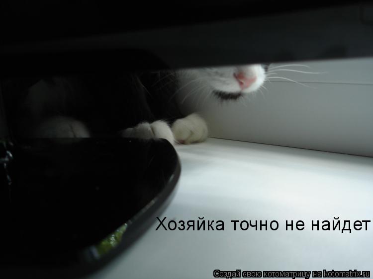 Котоматрица: Хозяйка точно не найдет