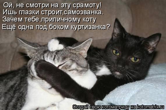 Котоматрица: Ой, не смотри на эту срамоту! Ишь глазки строит,самозванка. Зачем тебе,приличному коту Ещё одна под боком куртизанка?