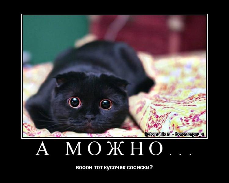 Котоматрица: А можно... вооон тот кусочек сосиски?