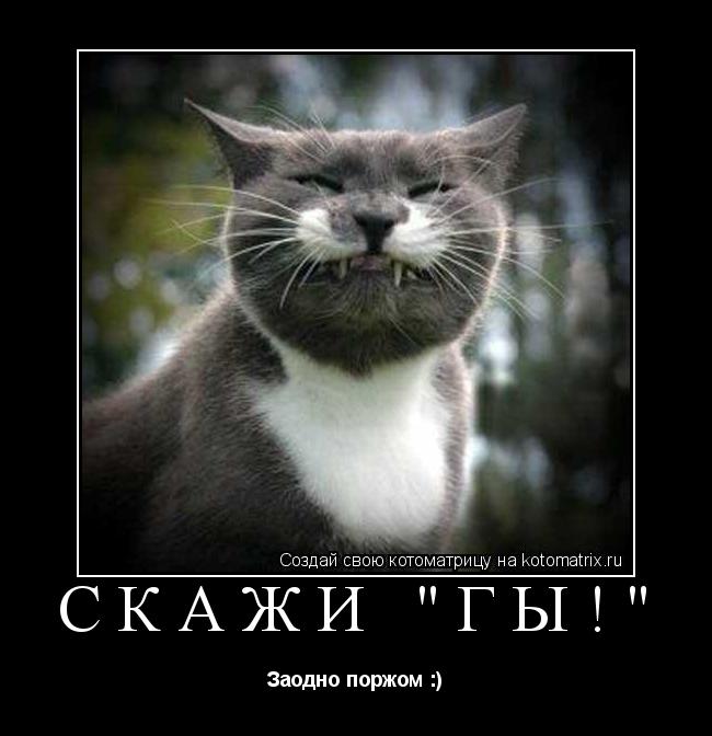 Котоматрица: Скажи "ГЫ!" Заодно поржом :)