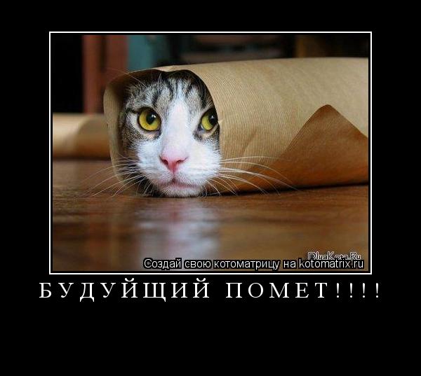 Котоматрица: будуйщий помёт!!!! 
