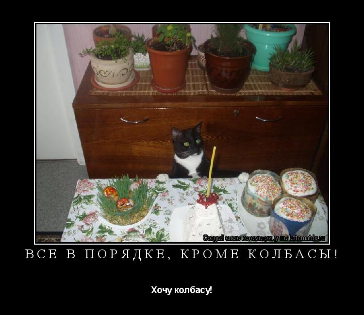 Котоматрица: Все в порядке, кроме колбасы! Хочу колбасу!