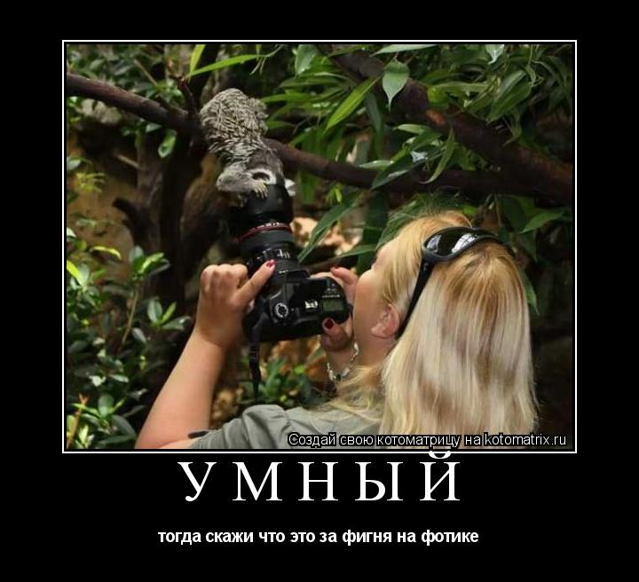умный тогда скажи что это за фигня на фотике... Котоматрица: умный тогда скажи что это за фигня на фотике