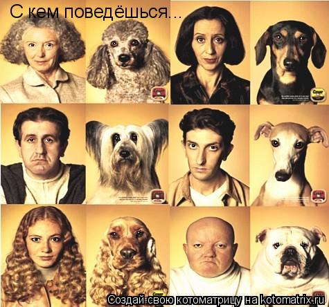 Котоматрица: С кем поведёшься...